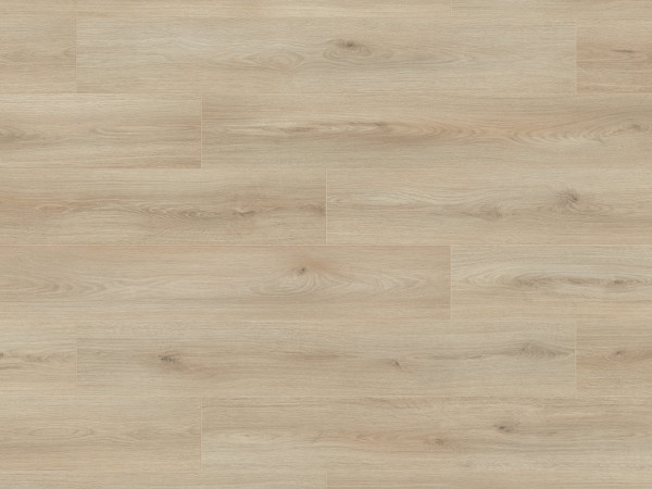 Laminaatvloer Atlantic 8 Ecru Cantal Oak K653