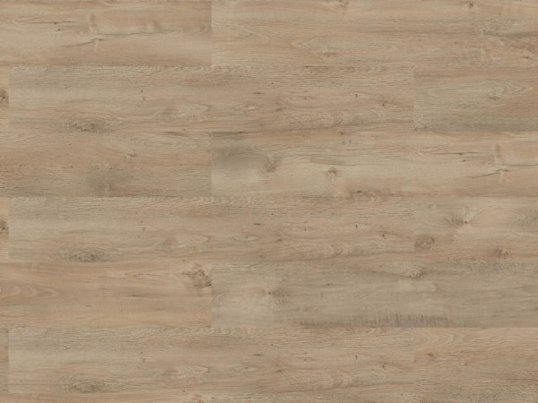 Laminaat Trend Oak grey brown landhuisvloer