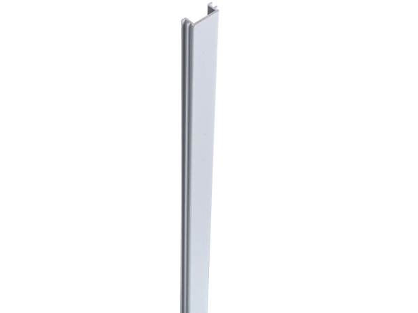 Paalafdeklijsten BPC Solid zilvergrijs 190 cm lang
