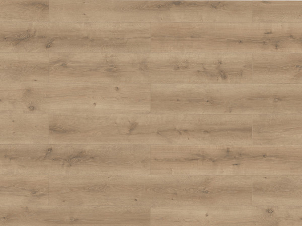 Laminaat Lifestyle Trend Bellemont Oak grey brown landhuisvloer