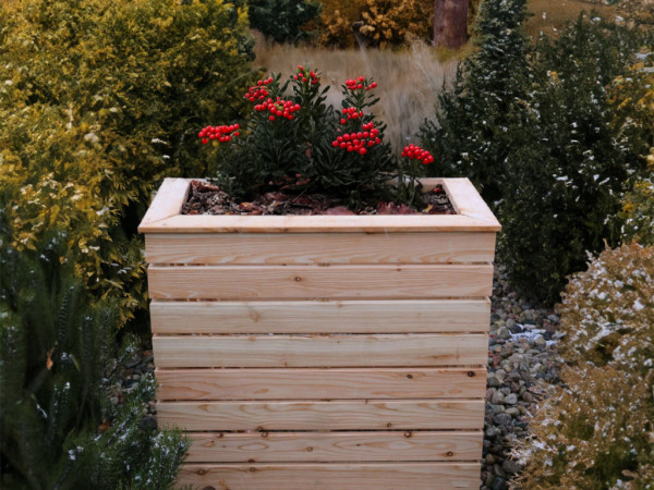 Plantenbak van lariks PIA verhoogde kweekbak