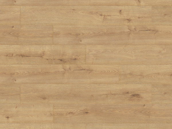 Laminaatvloer Atlantic 8 Sundance Oak K326