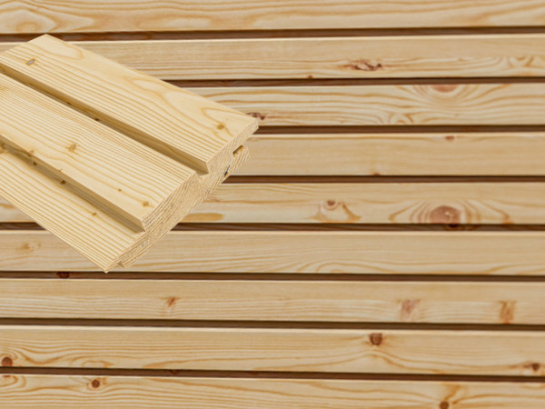 Gevel dubbel ruitprofiel Europese lariks