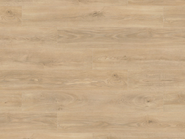 Laminaatvloer Atlantic 8 Tortilla Cashmere Oak K469