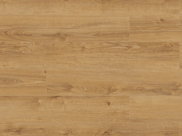 Laminaatvloer Atlantic 8 Old Camberwick Oak K794